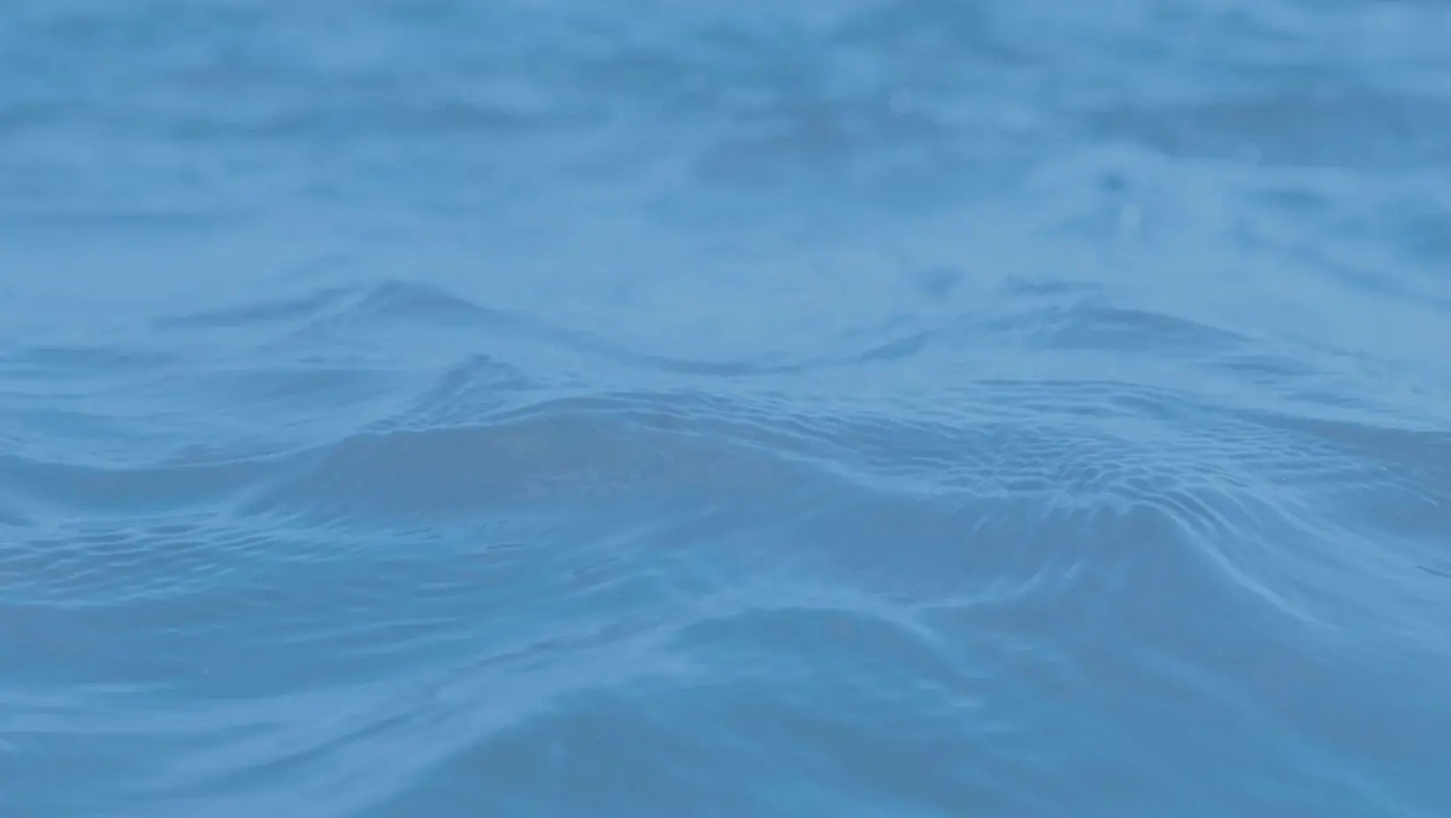 Hero Image - Water Scrooge