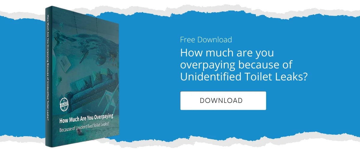 How much are you overpaying because Unidentified Toilet Leaks guide