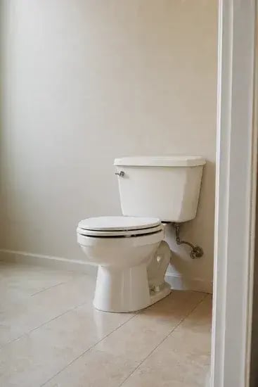 Vintage Apartment Bathroom Toilet in Portrait Orientation