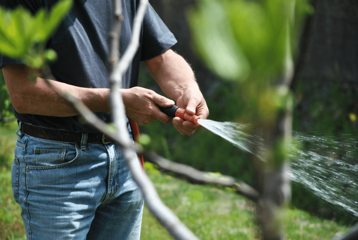 Man using a garden hose