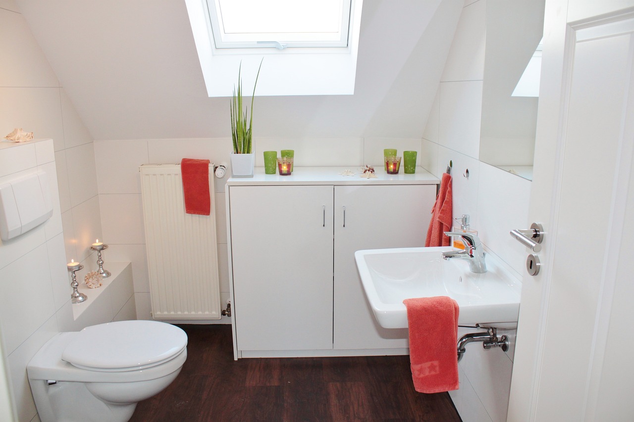 Saving Money and Water with Water Conservation Products for Your Toilet