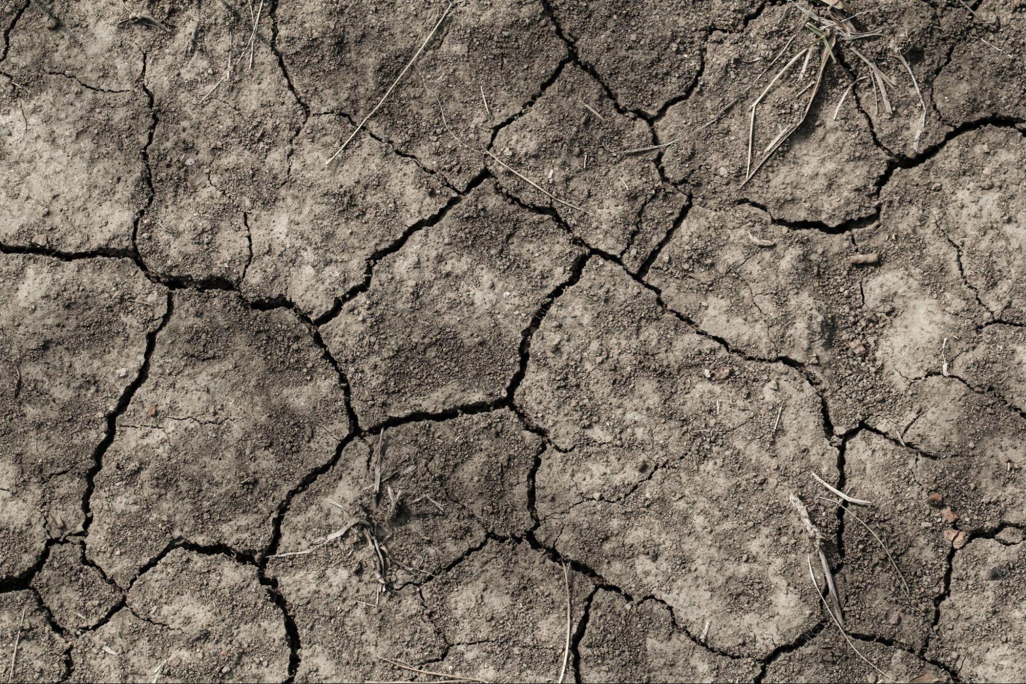 The Role of Water Conservation Products in Drought-Prone Areas